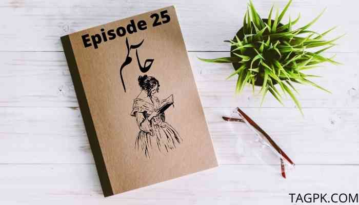 Haalim Episode 25 PDF Download